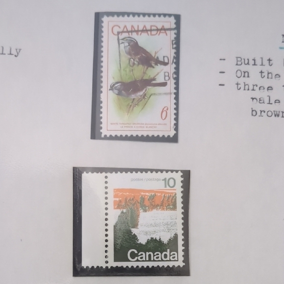 White Throated Sparrow Stamp Themed Scrapbook Page - Picture 3 of 3